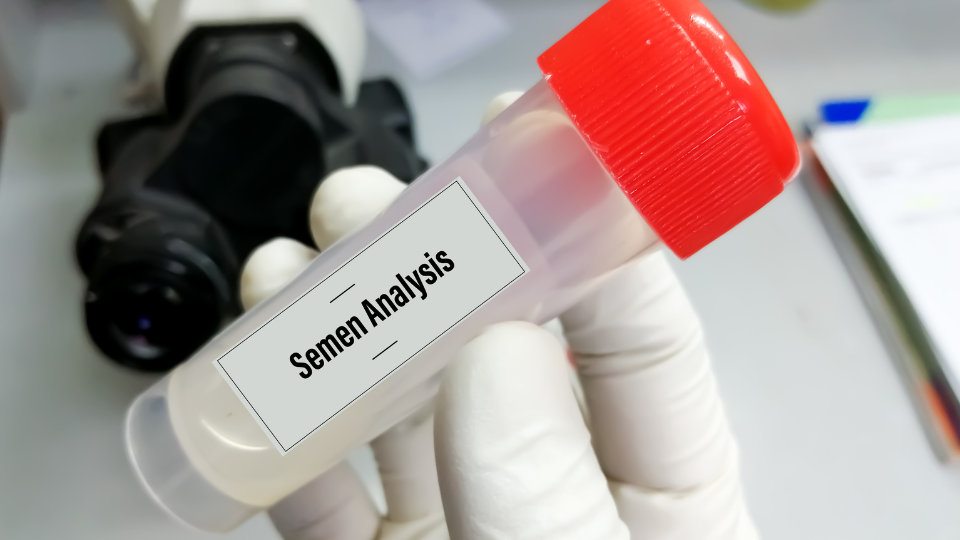 Blood in the semen (haematospermia)